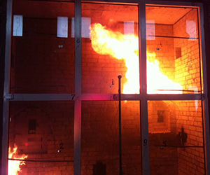 Противопожарные окна Щербинка